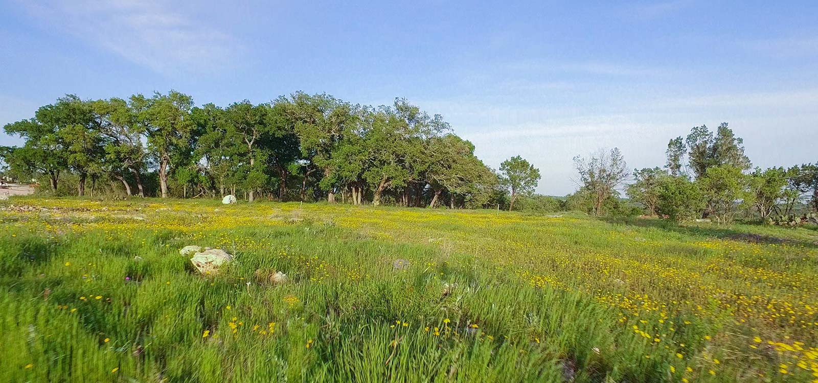 Copper Ridge Texas Land Sale