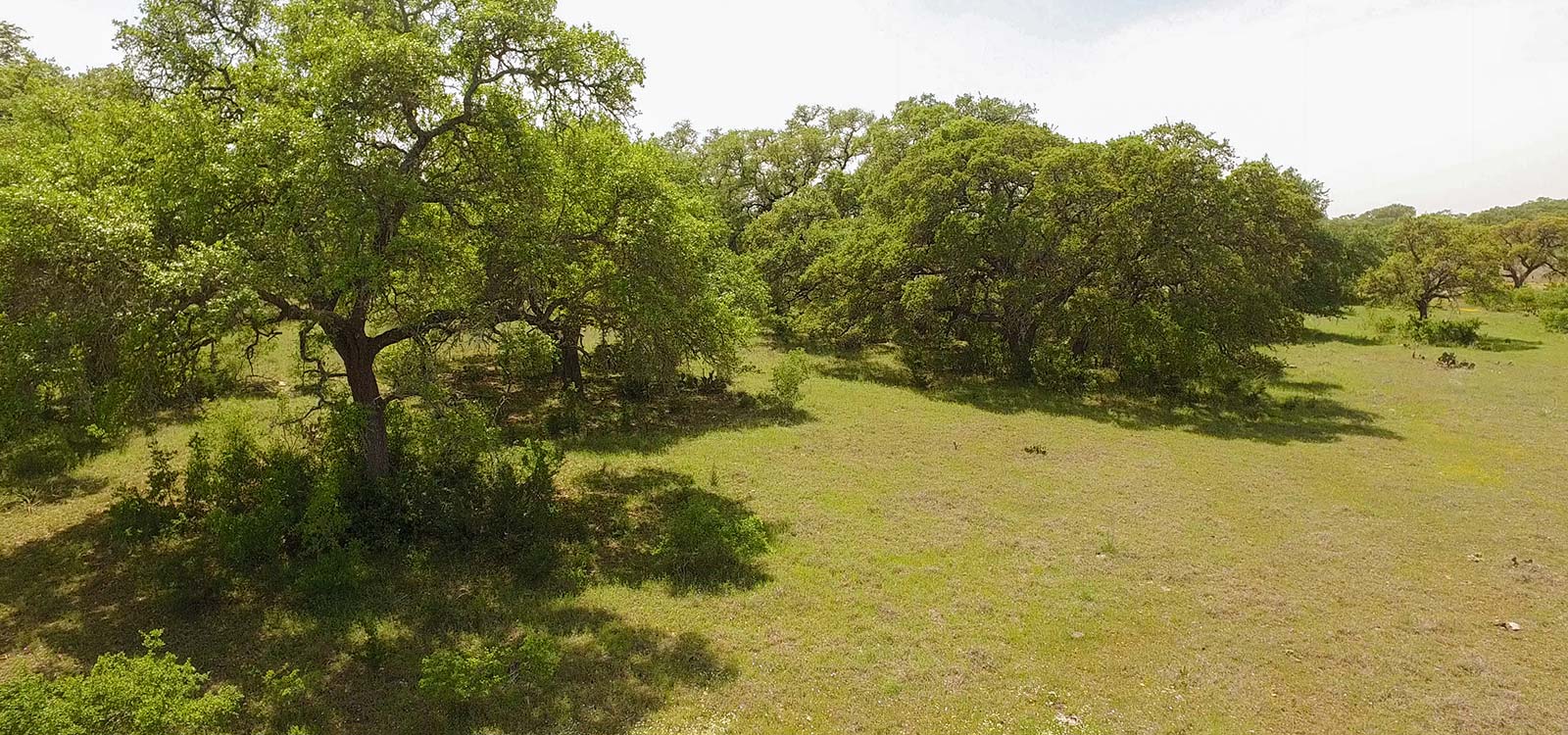 Copper Ridge Texas Land Sale